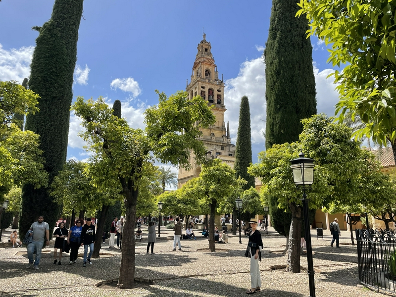 Cordova and the roots of al-Andalus 2