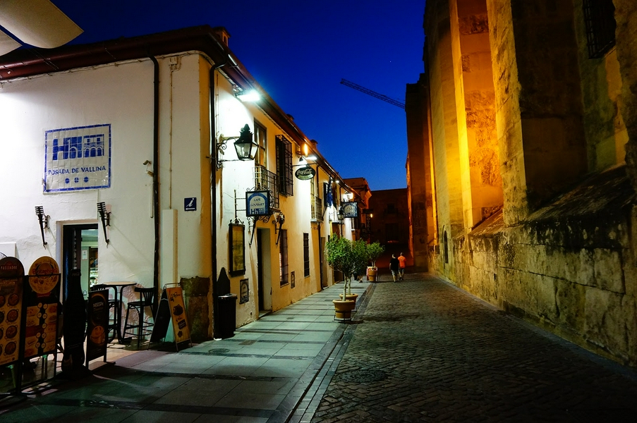 Hacienda Posada De Vallina 3