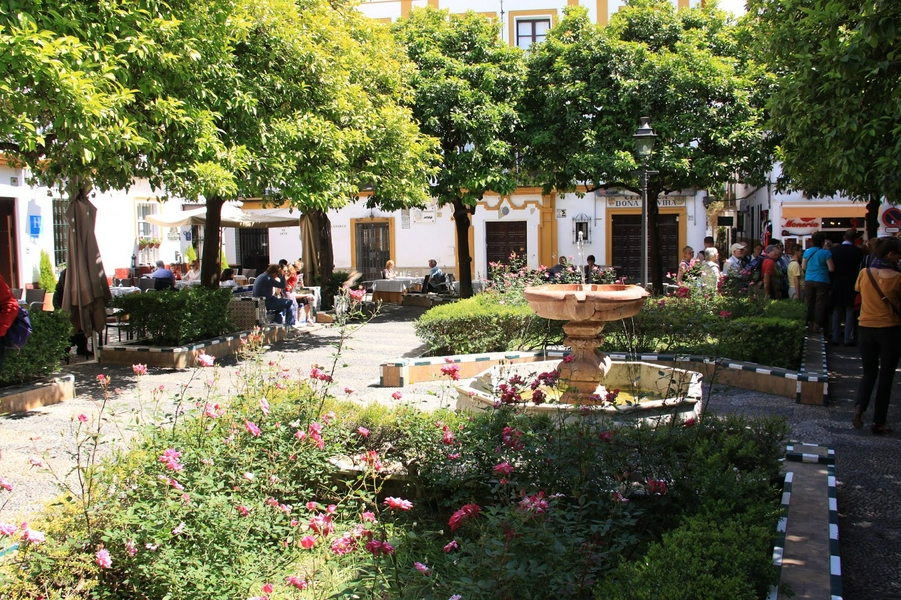 Delicious Tapas in the Santa Cruz Neighborhood 4