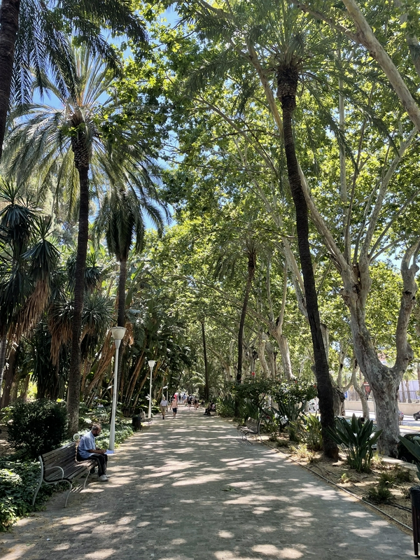 Beach bar in Malaga showcasing a lively atmosphere and festive spirit.