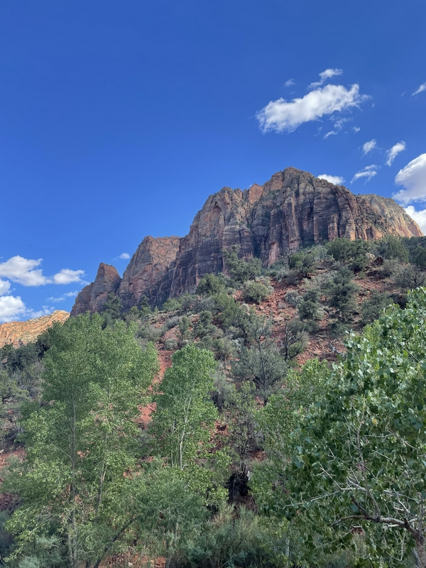 Zion National Park 2