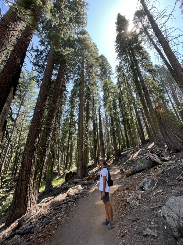 Glacier Point Trailhead 2