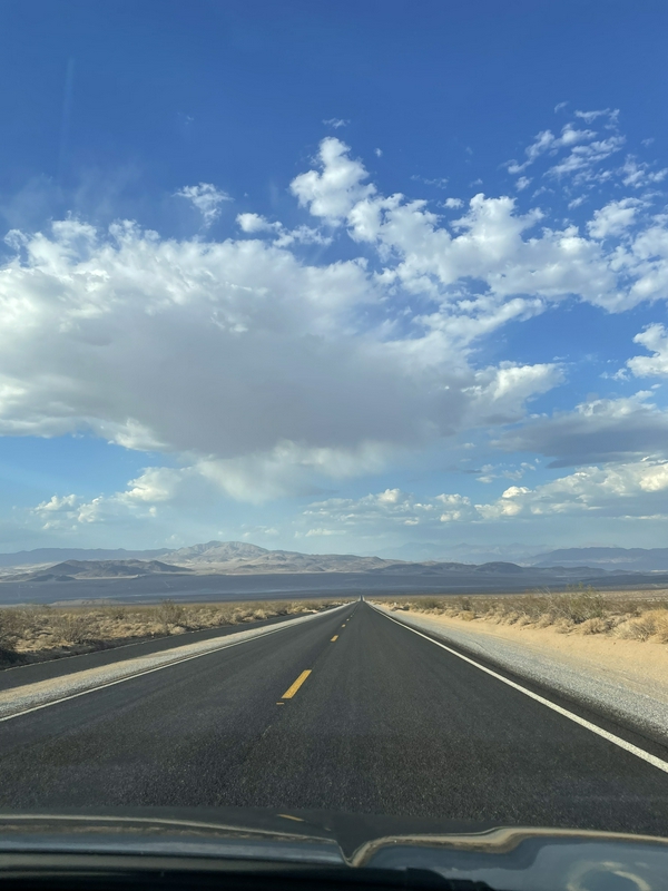 Strolling in the desert 3