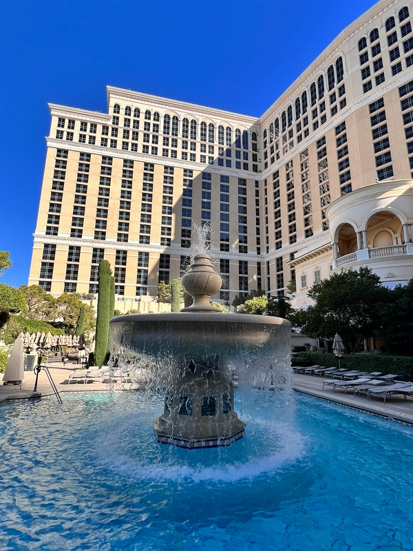 Bellagio Hotel & Casino 2