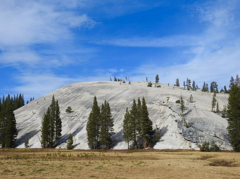 Tenaya Lake 3