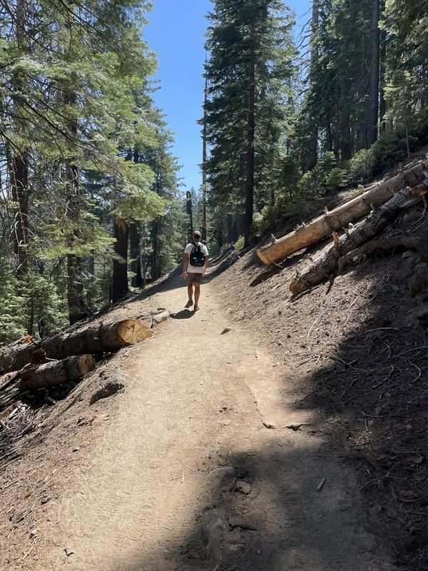 Glacier Point Trailhead hero